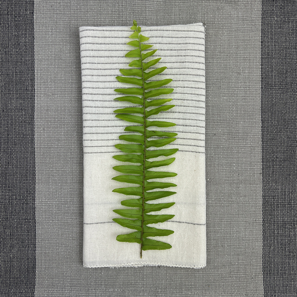 Handloom Dinner Napkins